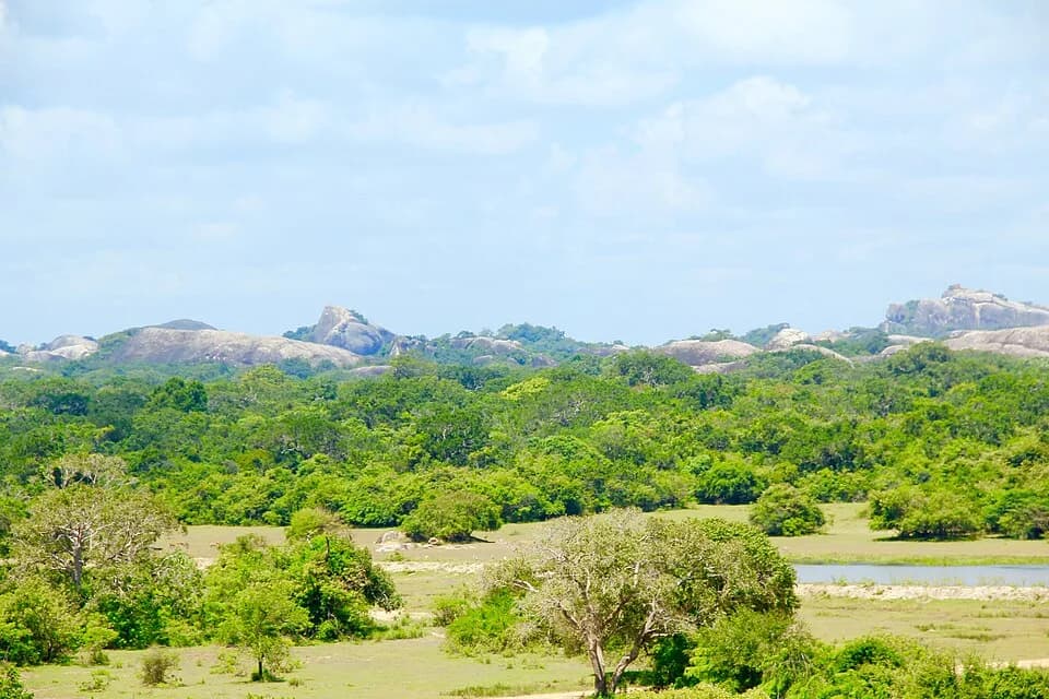 Kumana National Park