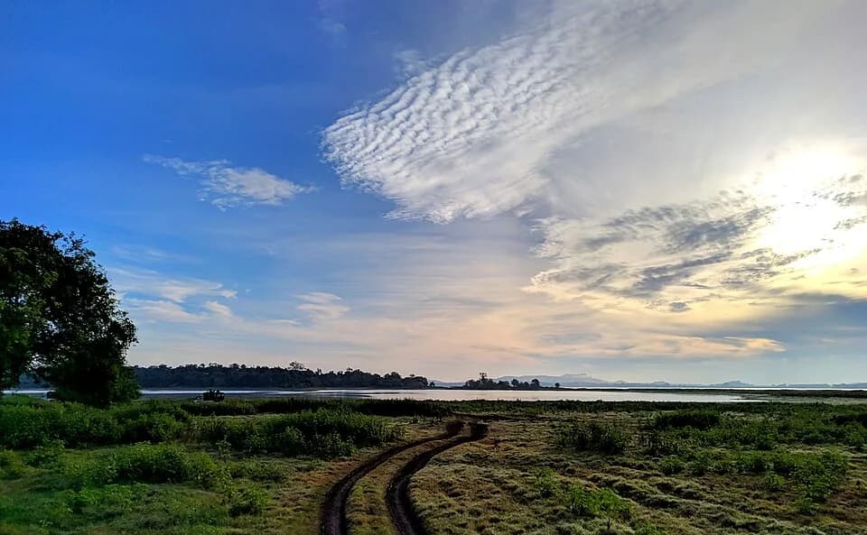 Minneriya National Park, Sri Lanka