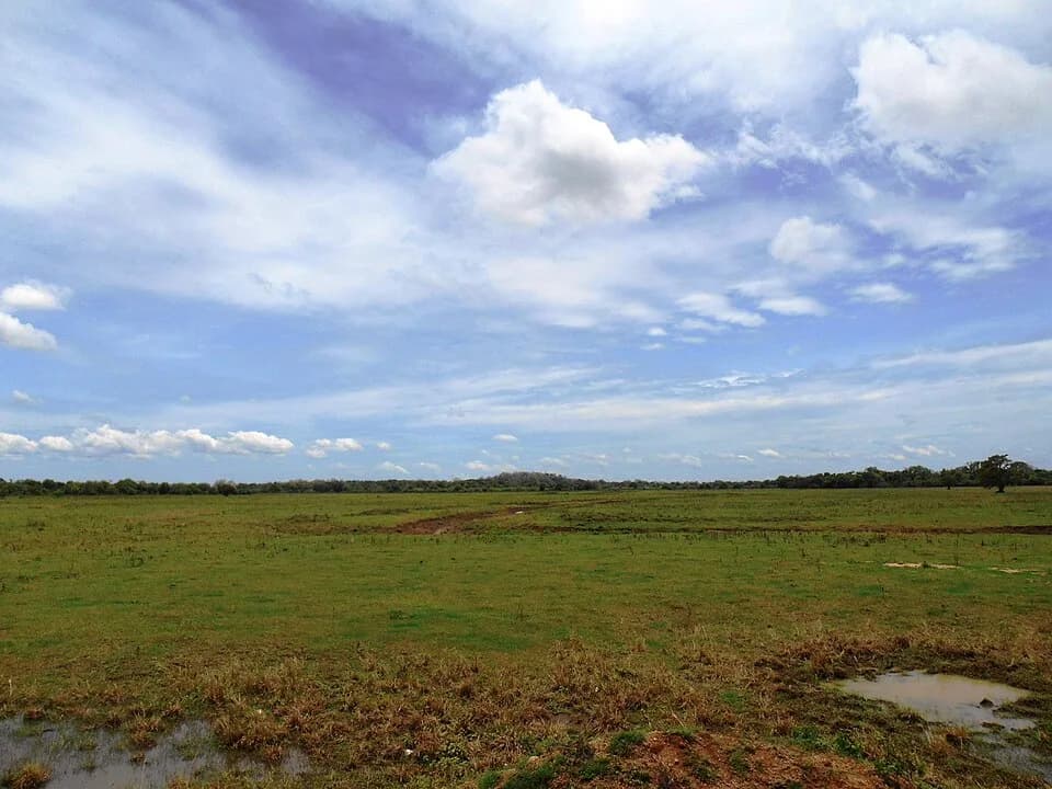 Somawathiya National Park, Sri Lanka