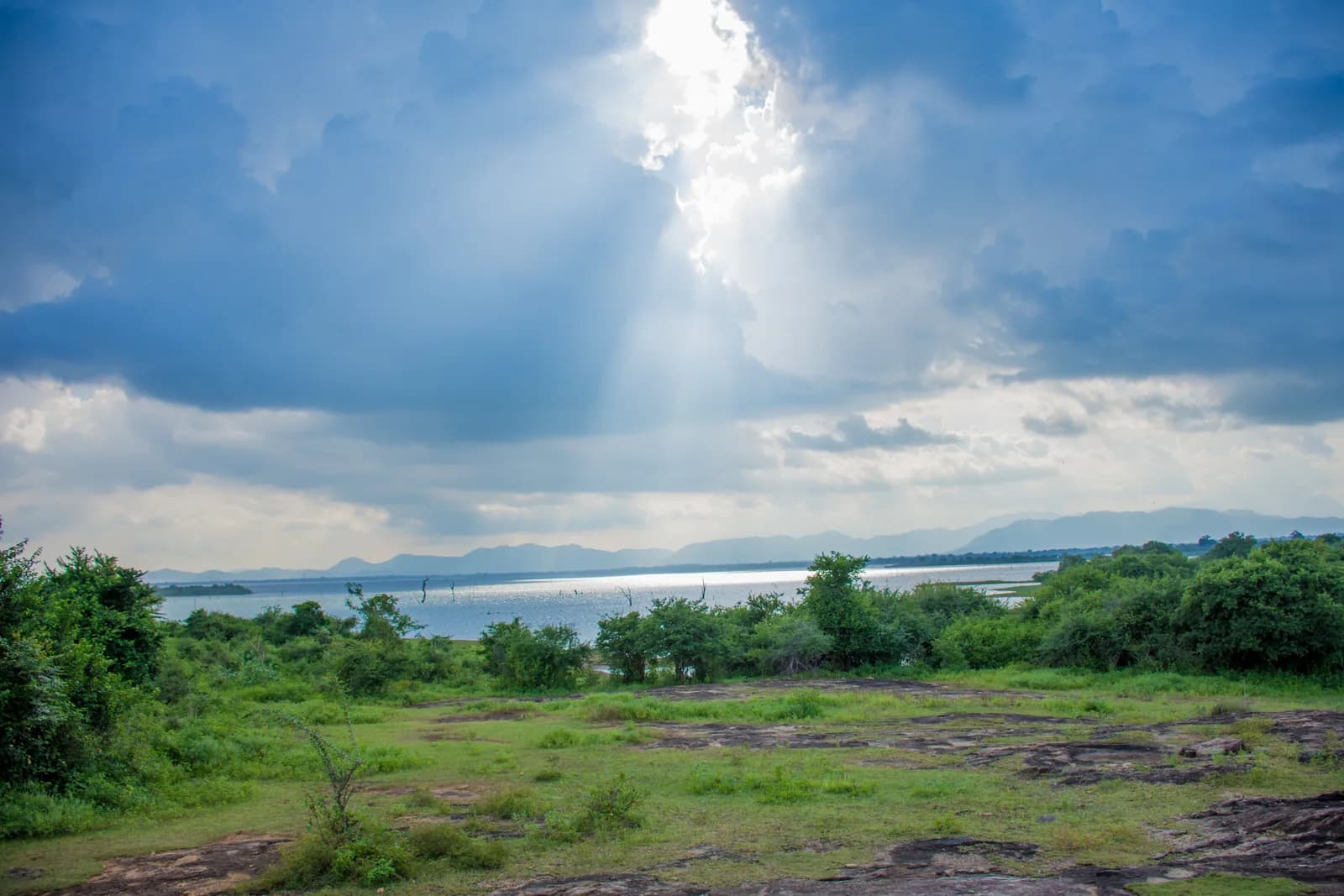 Landscape in Udawalawe National Park, Sri Lanka