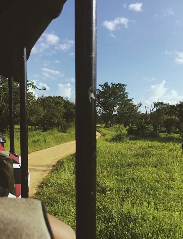 Wasgamuwa national park